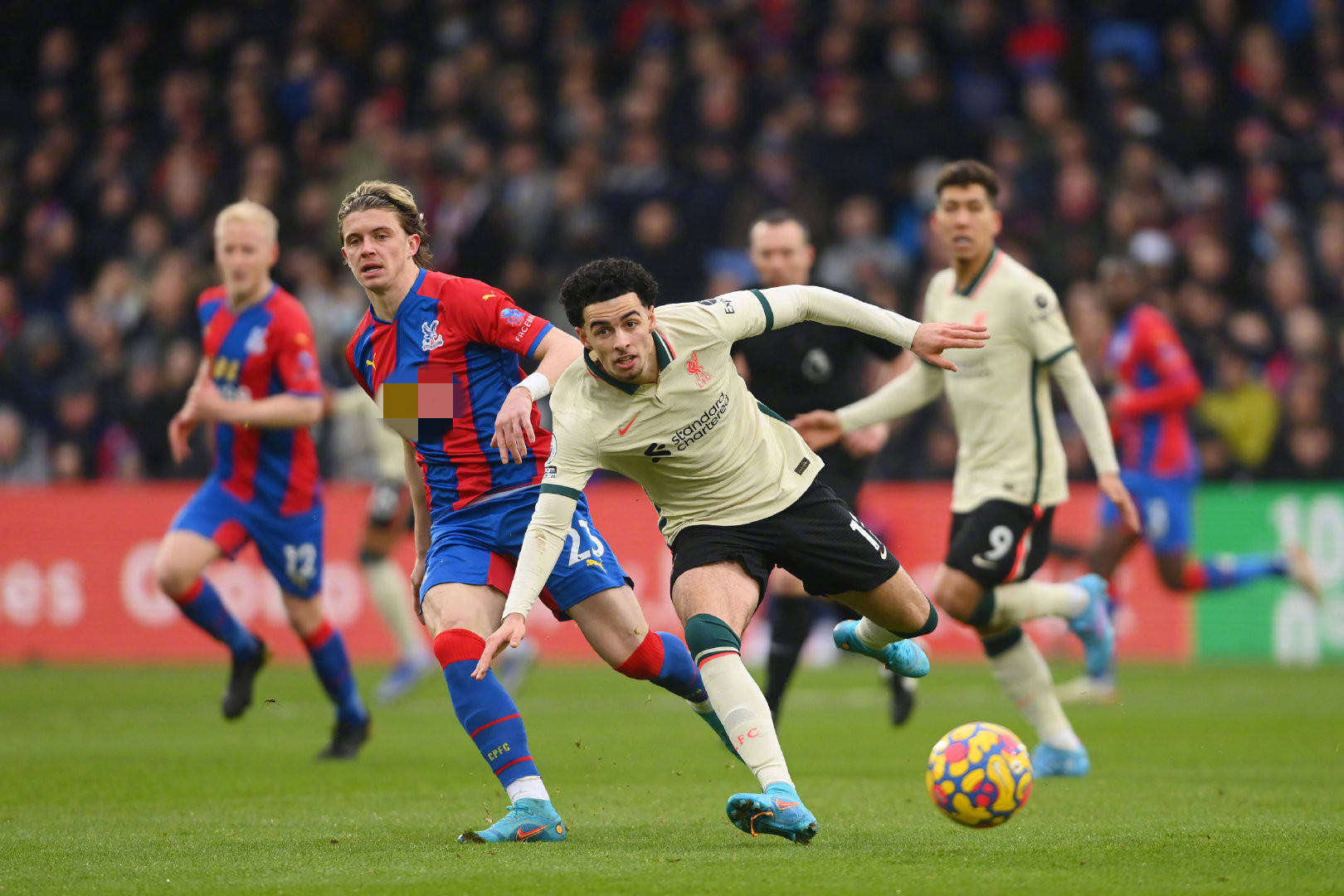 上得到了优 上得到了优